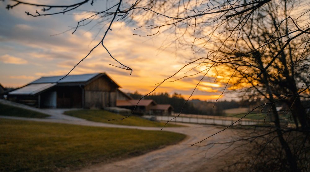 cropped-cropped-DSC08200-1.jpg