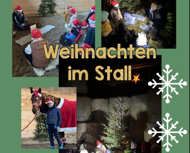 Homepage 3